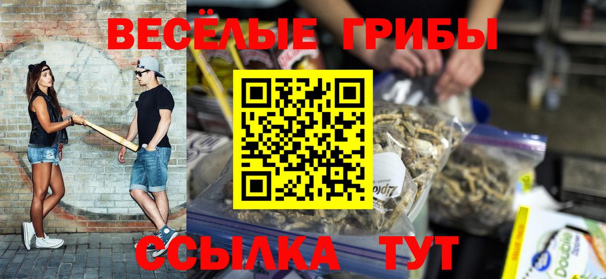 Свободный  Псилоцибиновые грибы Cubensis  Вход с VPN 