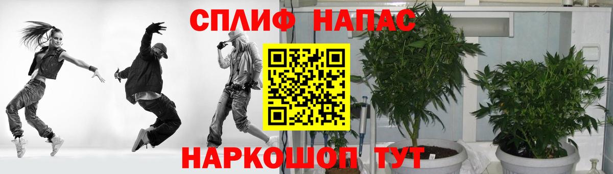 Канабис сатива Свободный